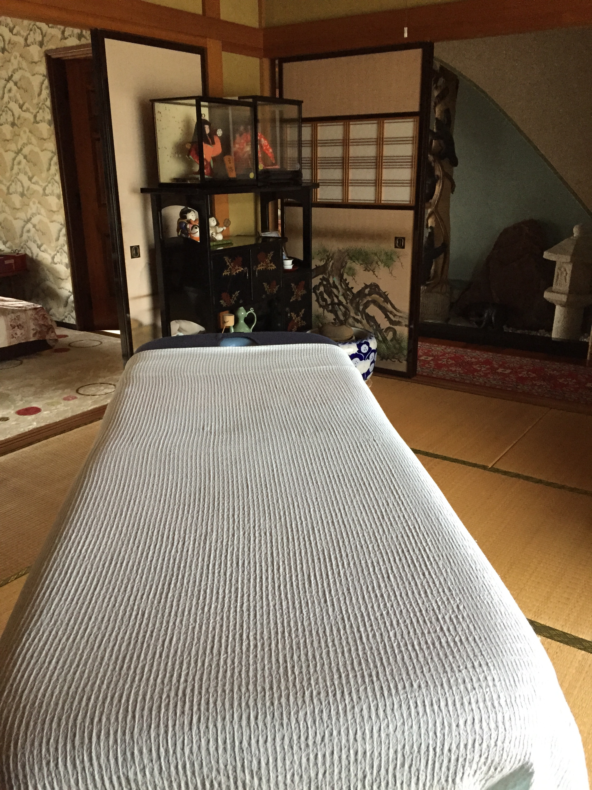 頭蓋仙骨療法のJOHN E. UPLEDGER 著 – Nori's Massotherapy